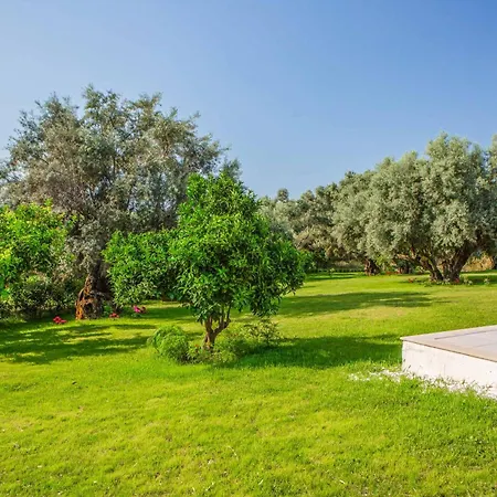 Averto Irene Villa *